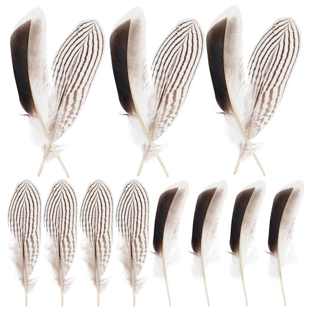 60Pcs Decorative Feather Plumes for DIY Crafts Home Party Accessories