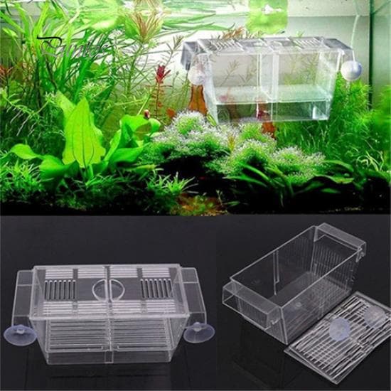 Aquarium Fish Tank Guppy Double Breeding Breeder ReaTrap Box Hatchery