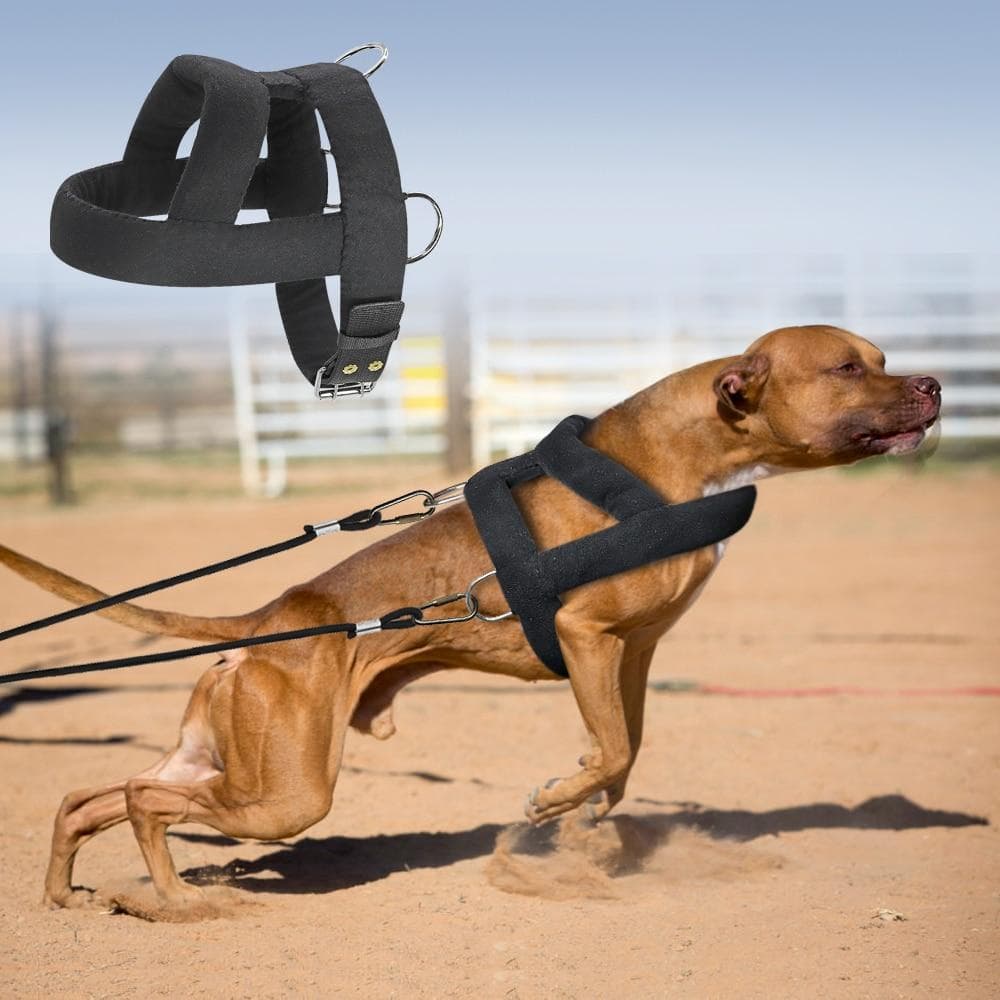 Fast DeliveryDog Weight Pulling Harness Soft Padded Dogs Harnesses Pitbull Big Large Dogs Training Harness Pet Agility Products black
