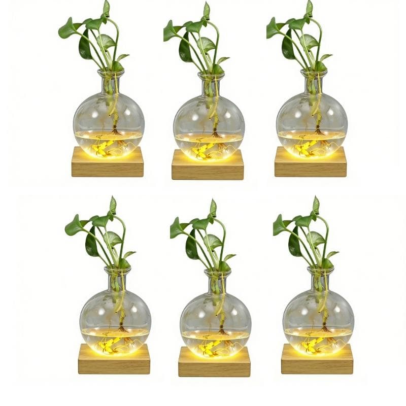 LED Illuminated Hydroponic Glass Vases For Visible Plant Root Growth Display And Ambients Night Light Decoration Home Office
