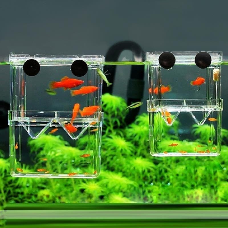 Multifunctional High Clear Fish Breeding Isolation Box Aquarium Breeder Fish Tank Double Guppies Hat