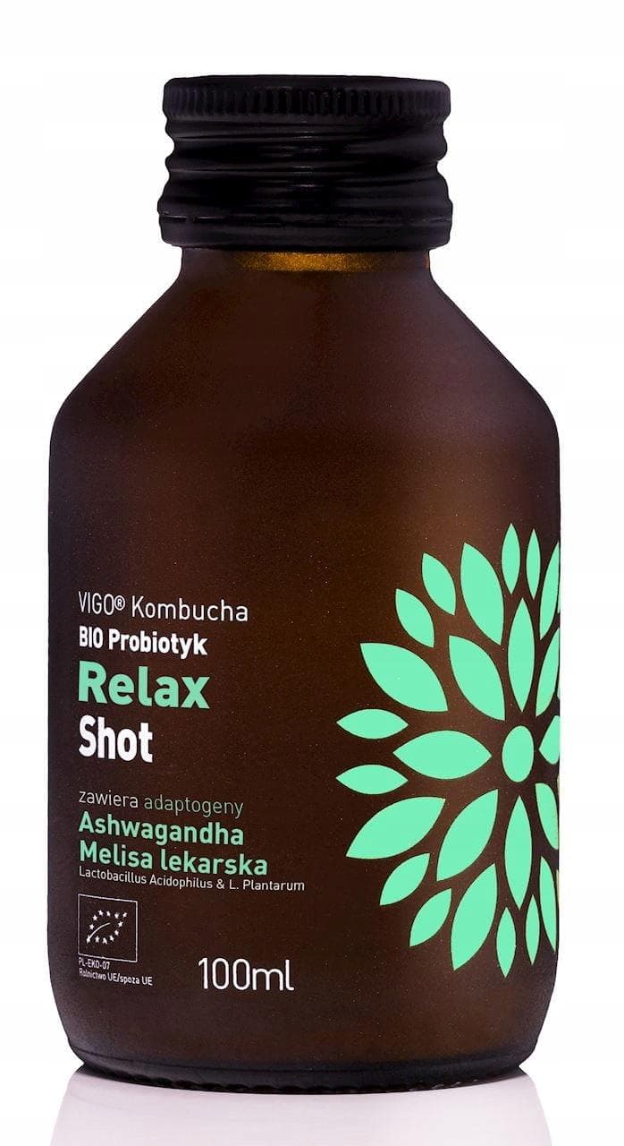 Kombucha Vigo Relax Shot 100 ml