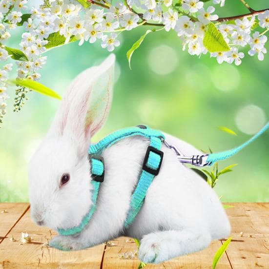 Adjustable Soft Polyester Small Pet Rabbit Harness Leash Guinea Pig Lead Rope pink