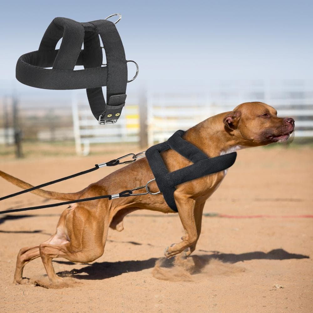 Dog Weight Pulling Harness Soft Padded Dogs Harnesses Pitbull Big Large Dogs Training Harness Pet Agility Products black