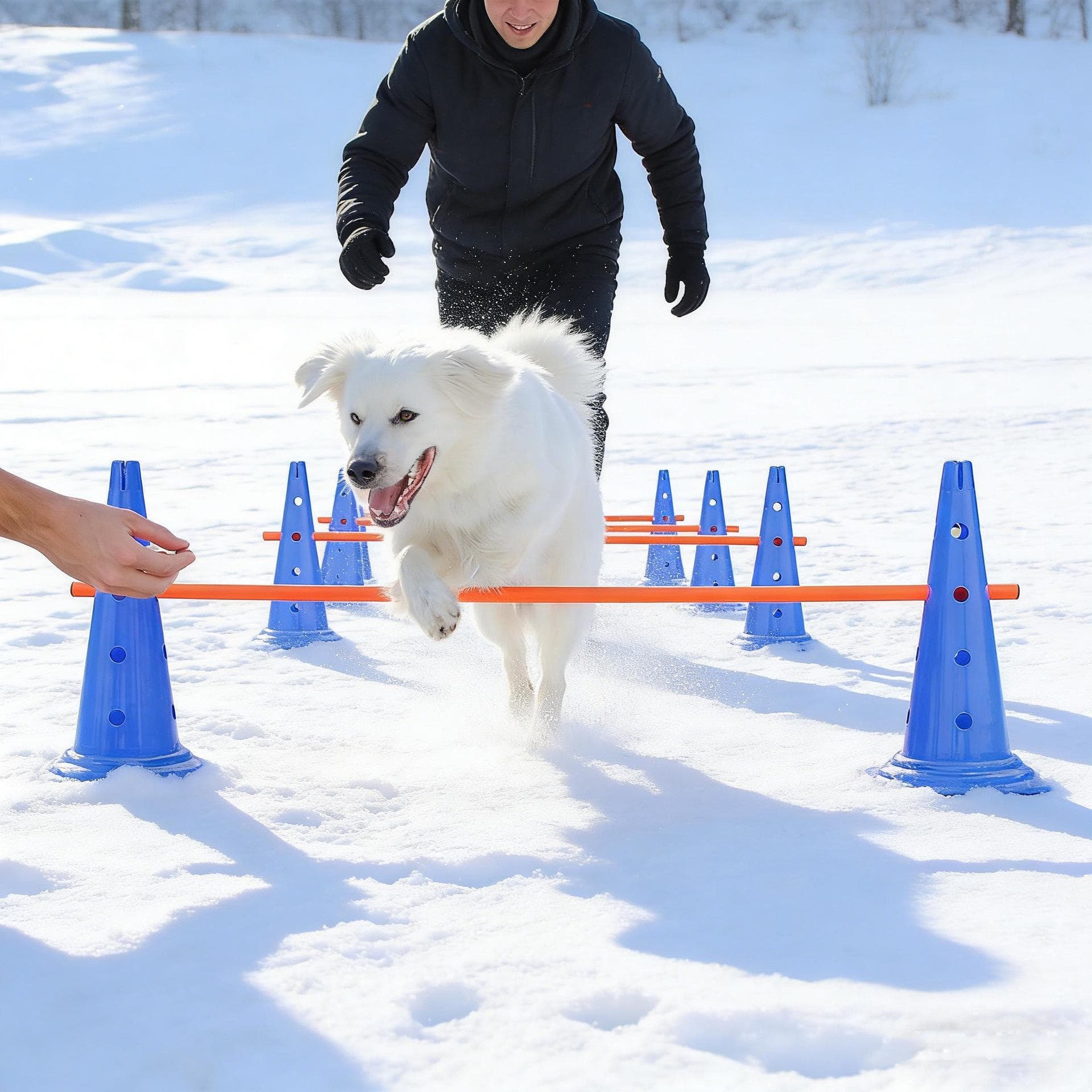 Dog Agility Training Kit: Jump Poles, Hurdles, Rings & Props for Pet Competitions