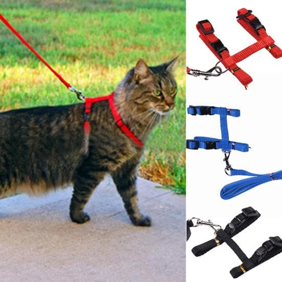Pet Rabbit Training Straps Harness Leash Traction Belt black
