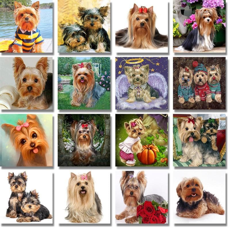 5D DIY Diamond Painting Yorkshire Terrier Full Round Drill Picture of Rhinestones Diamond Embroidery