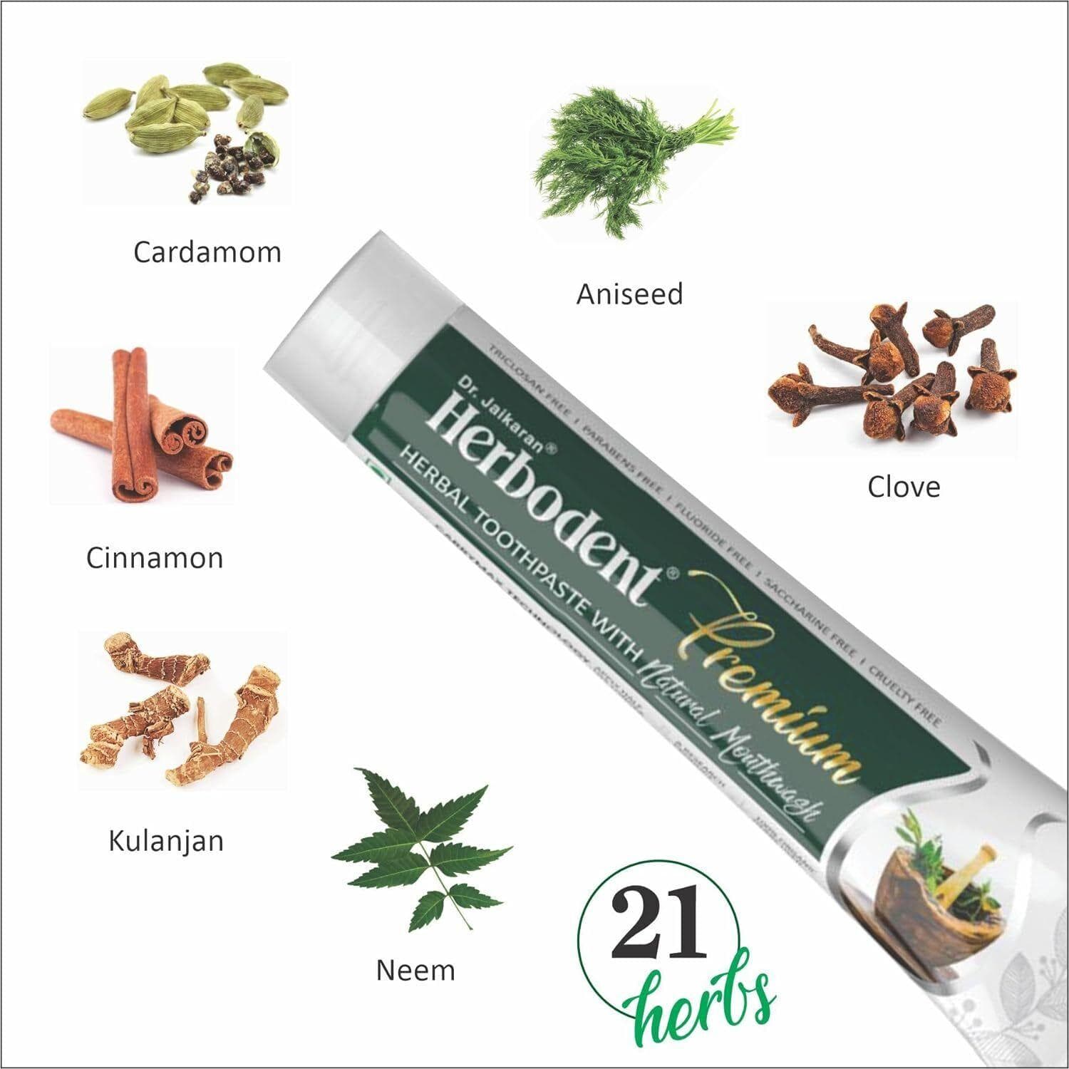 Pack of 3 X Dr. Jaikaran Herbodent Premium Complete Herbal Toothpaste 100 gm