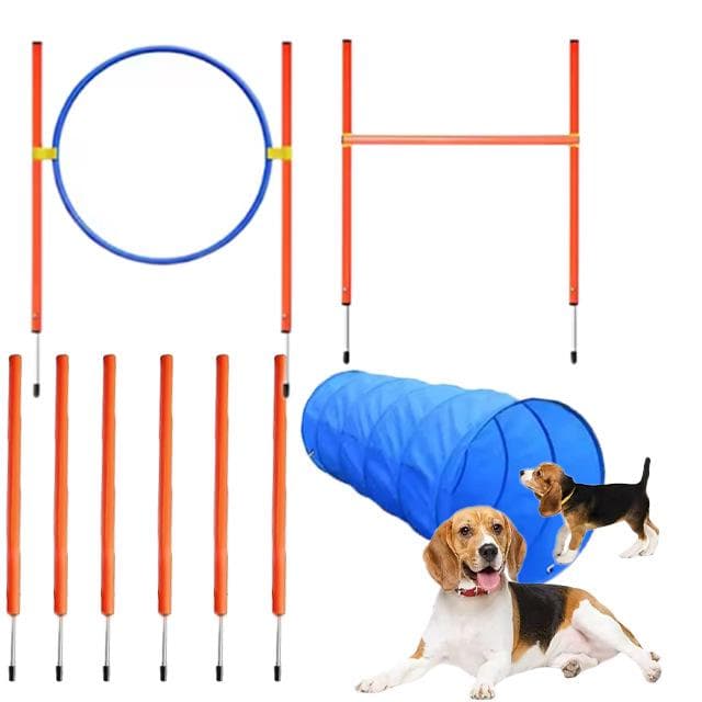 Dog Agility Training Set: Jumps, Poles, Hurdles, Rings