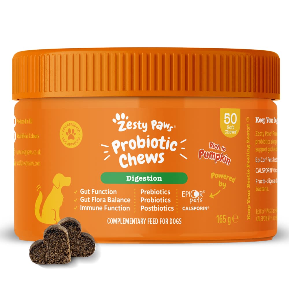 Zesty Paws Probiotic Chews Digestion - Pumpkin - dog supplements - 50 Chews