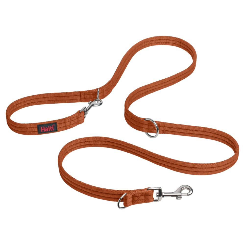Halti Training Lead - Orange (200cm long, 25mm wide)