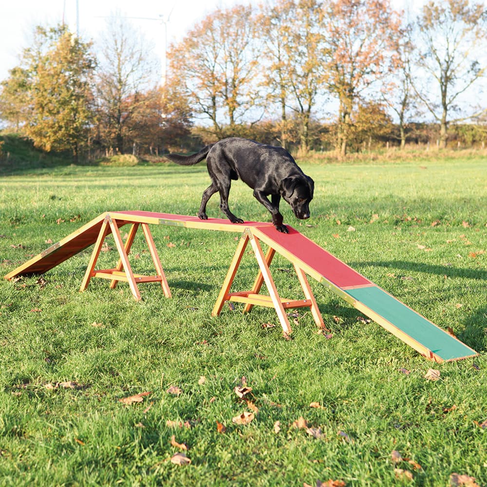 Trixie Dog Agility Bridge - 456 x 30 x 64 cm (L x W x H)