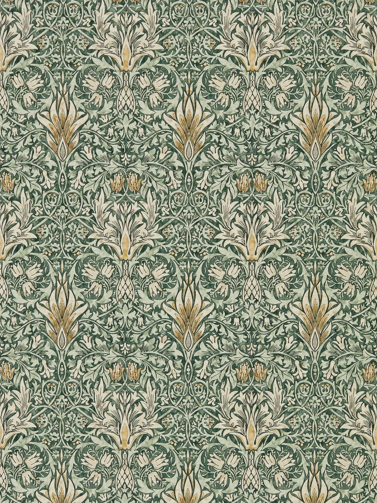 Snakeshead Forest/Thyme