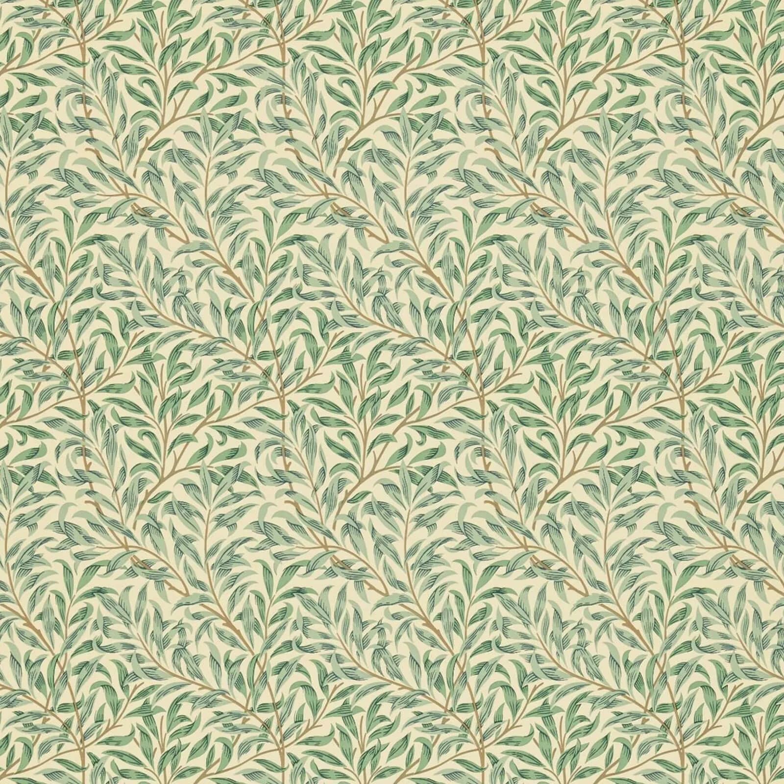 Willow Boughs Minor Privet