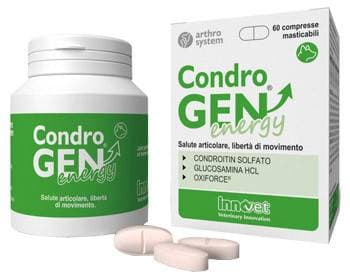 Condrogen energy 60cpr mastic