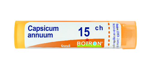 Capsicum annuum 15ch gr