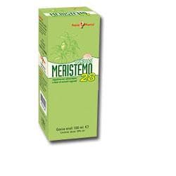 Meristemo inkas 28 100ml