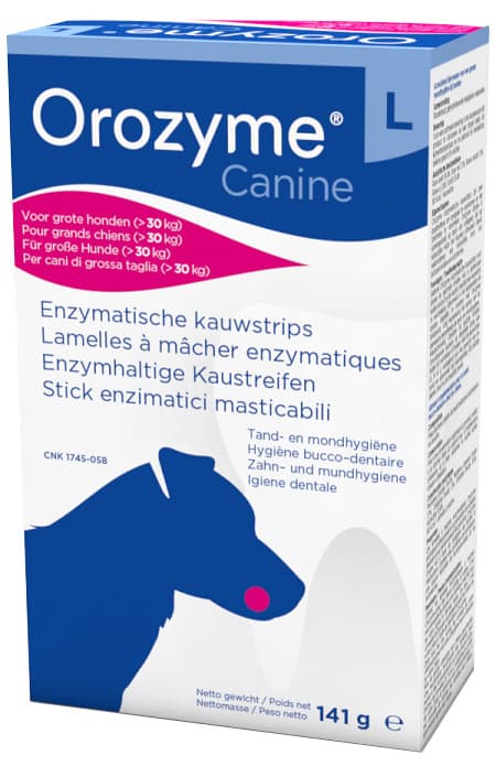 Orozyme canine stick enzimatic