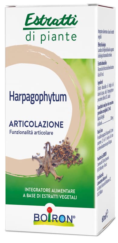 Harpagophytum ei 60ml int