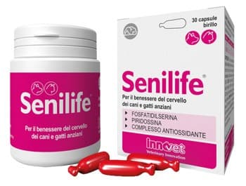 Forcella nasale ad in vetro