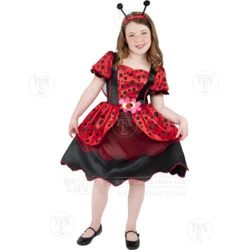 Girl's Ladybird Fancy Dress Costume