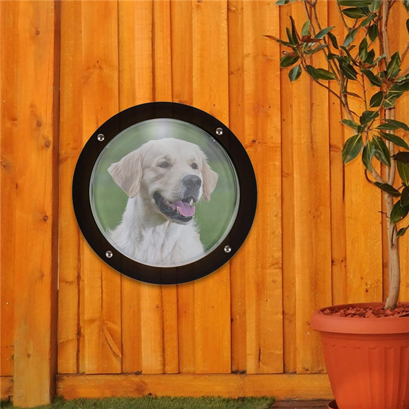 Dog Fence Window 12.4 inch Acrylic View Dome Pet Bubble Viewer for Outdoor Backyard Garden