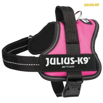 JULIUS-K9 Trixie Julius K-9 Harness fuchsia XXL