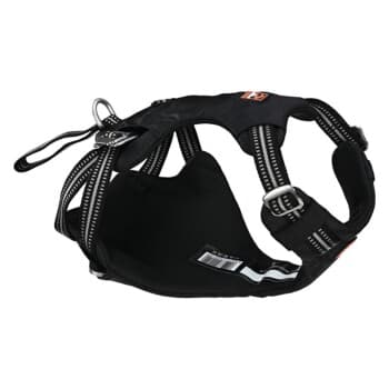 Dogs Creek Renegade safety harness M