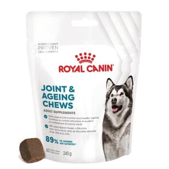 ROYAL CANIN Joint & Ageing Supplements Chews 240g