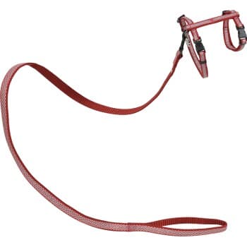 MORE Royal Cat Harness with Reflective Lead red