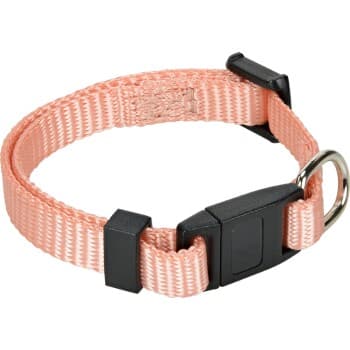 AniOne Junior Cat Collar apricot