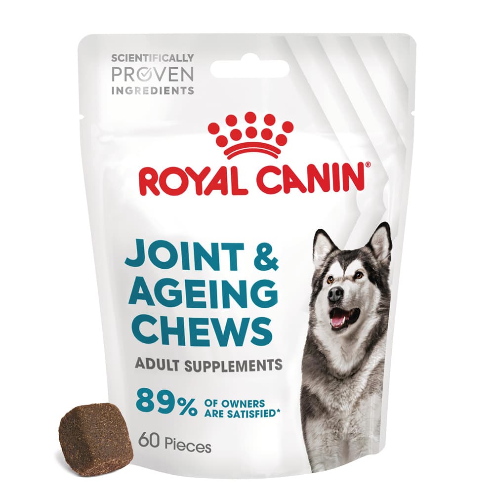 Royal Canin Joint & Ageing Adult Supplement Chews - dog supplements, - 240g (60 pieces)