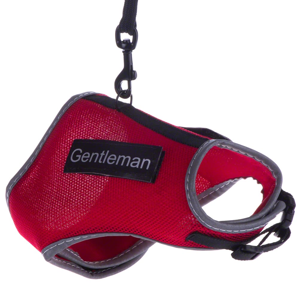 Trixie XCat Harness with Lead and Exclusive Stickers - Red